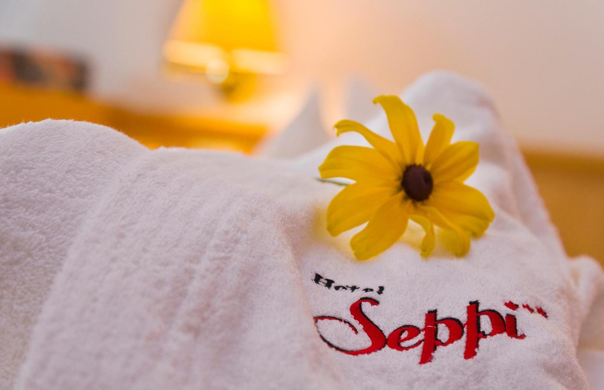 Hotel Seppi Rio di Pusteria Dış mekan fotoğraf